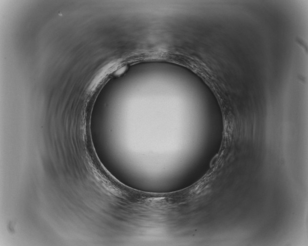 X0000102260054200808011414