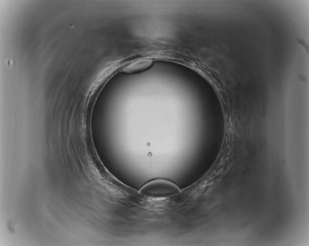 X0000102260055200808011414