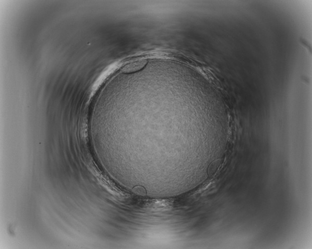 X0000102260056200808011414