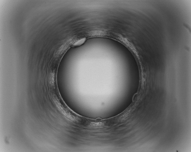 X0000102260057200808011414