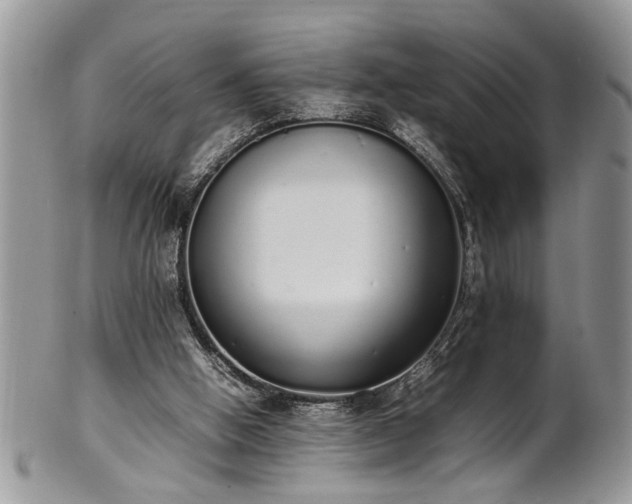 X0000102260058200808011414