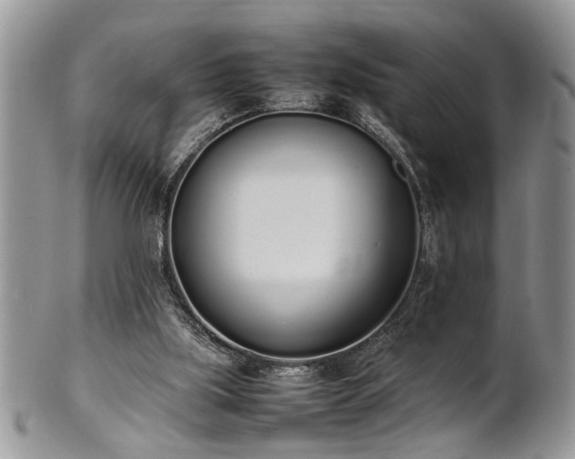 X0000102260059200808011414