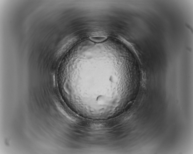 X0000102260061200808011414