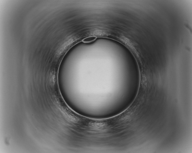 X0000102260063200808011414