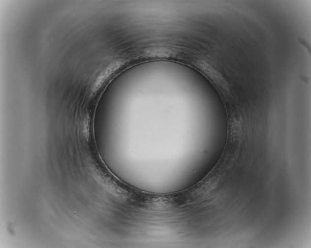 X0000102260064200808011414