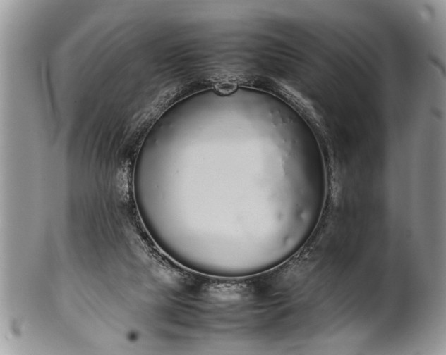 X0000102260065200808011414