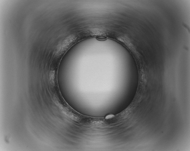 X0000102260066200808011414