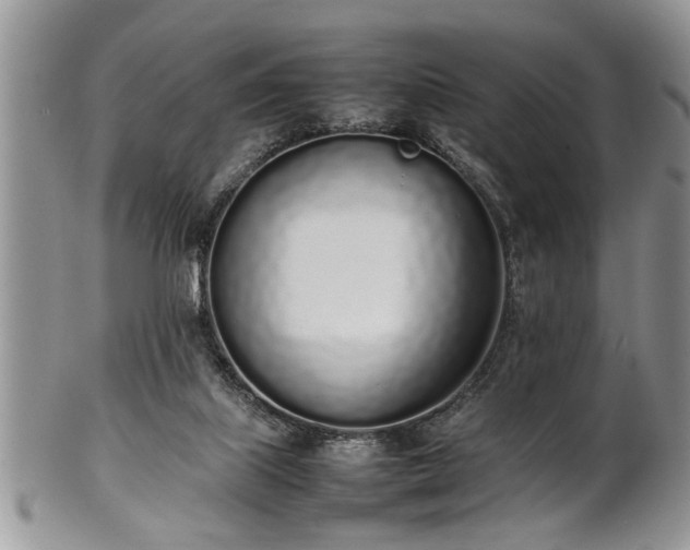 X0000102260067200808011414