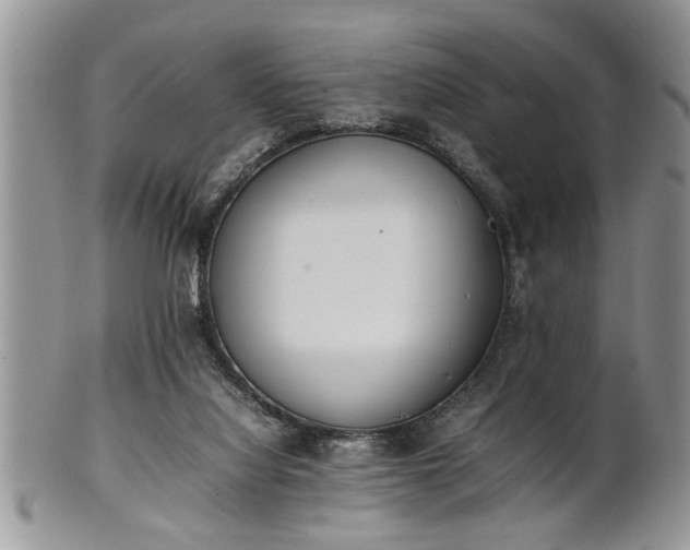 X0000102260068200808011414