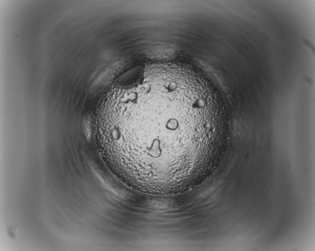 X0000102260069200808011414