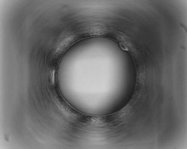 X0000102260070200808011414