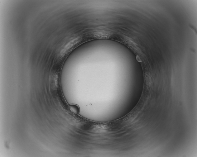 X0000102260071200808011414