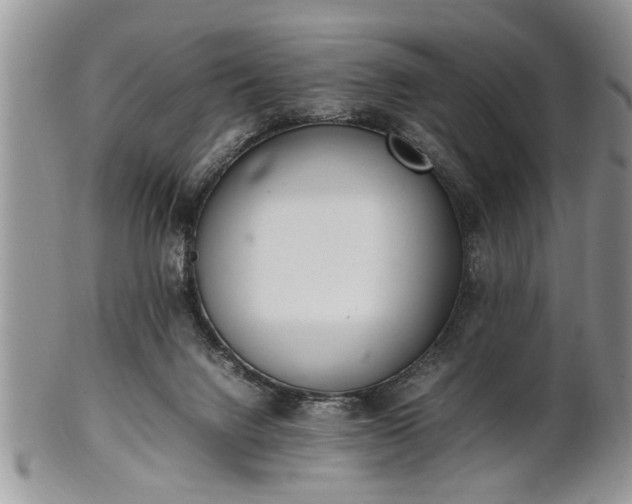 X0000102260072200808011414