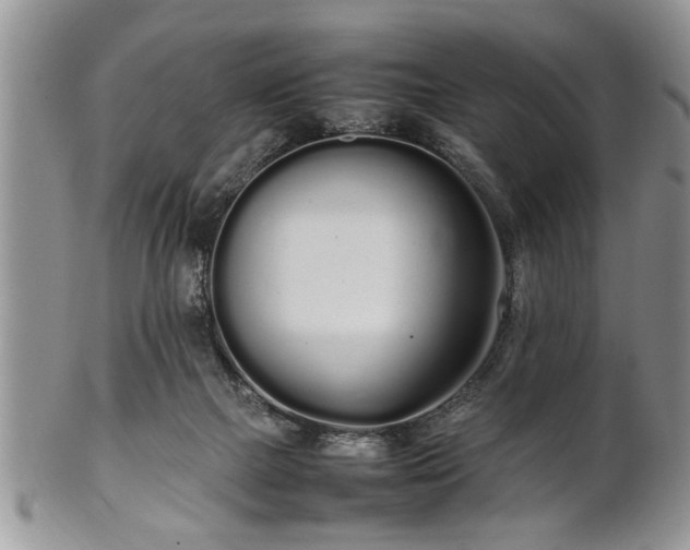 X0000102260073200808011414