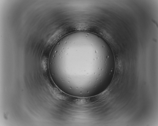 X0000102260074200808011414