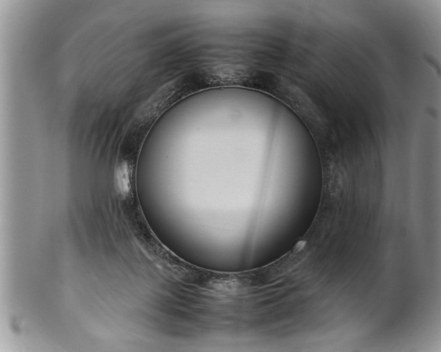 X0000102260075200808011414