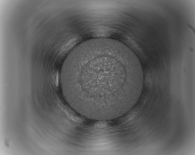 X0000102260076200808011414