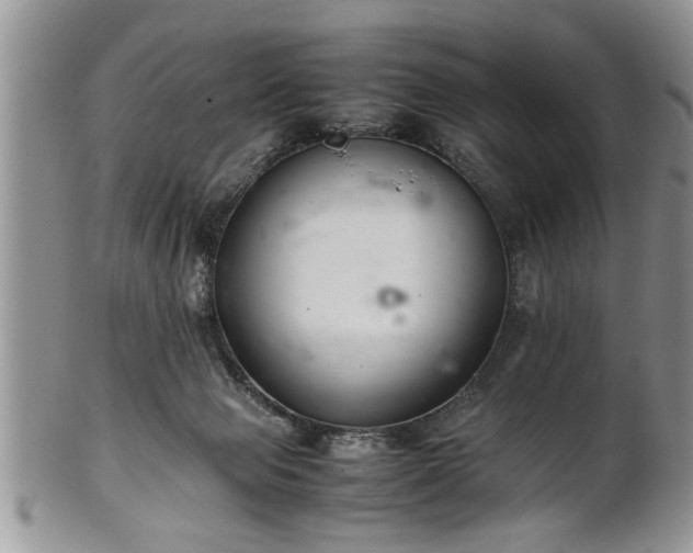 X0000102260077200808011414