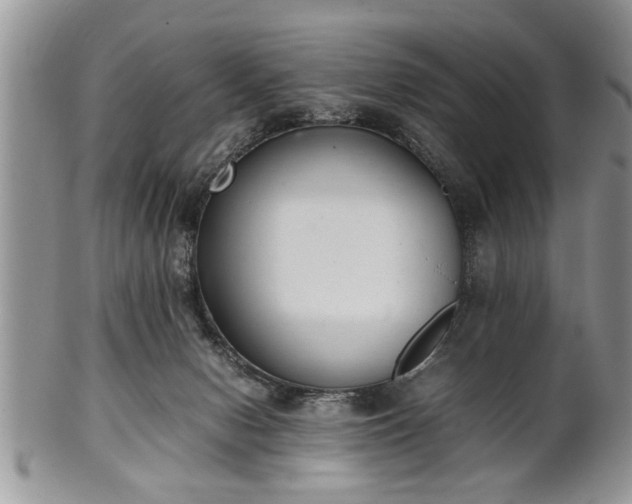 X0000102260078200808011414