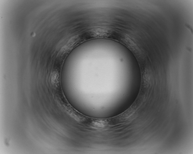 X0000102260079200808011414