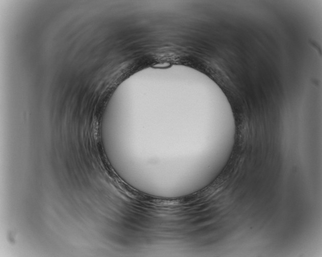 X0000102260081200808011414