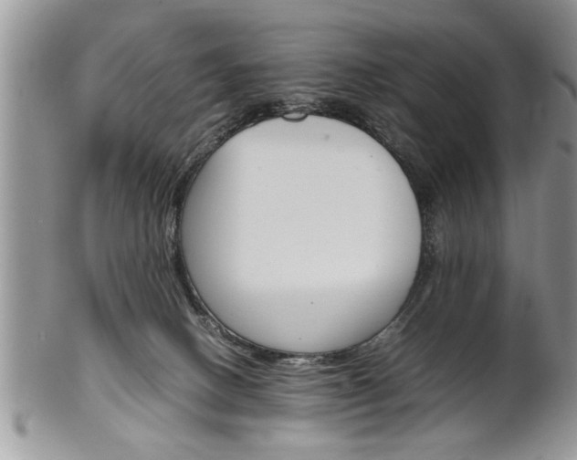 X0000102260082200808011414