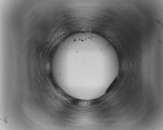 X0000102260084200808011414