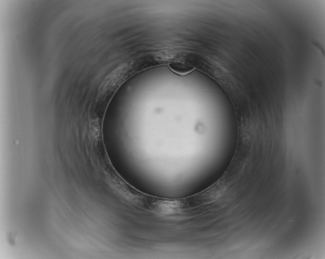 X0000102260085200808011414