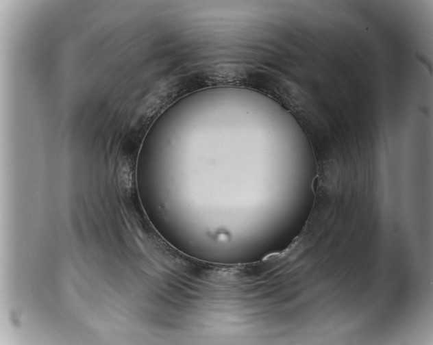 X0000102260086200808011414