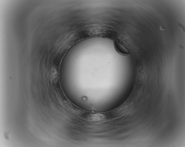 X0000102260087200808011414