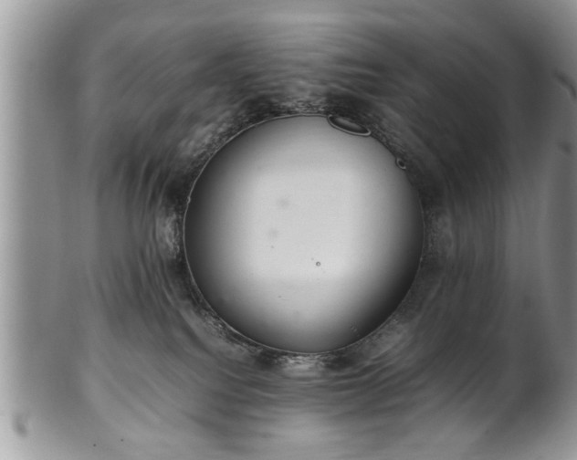 X0000102260088200808011414