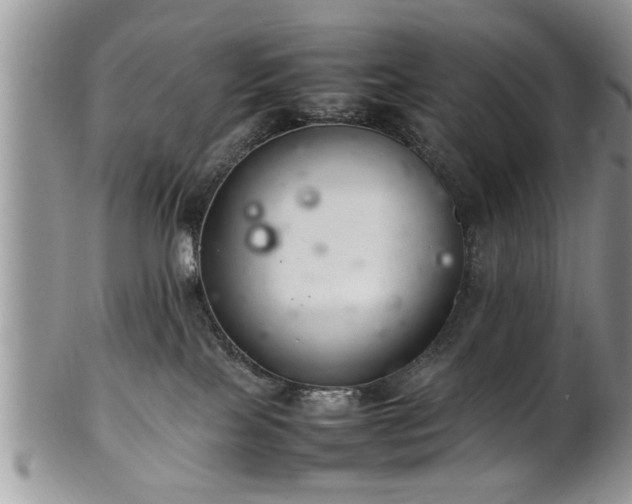 X0000102260089200808011414