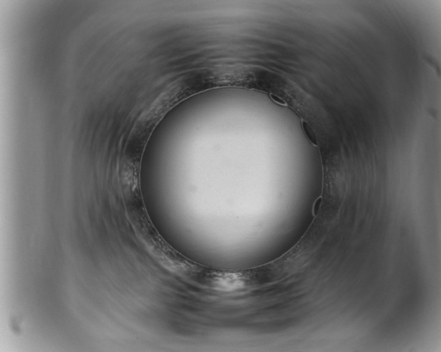 X0000102260091200808011414