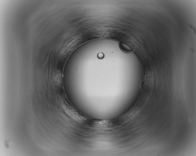 X0000102260092200808011414