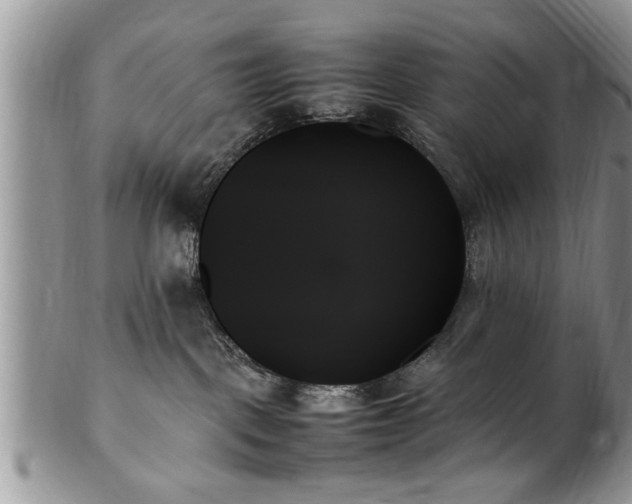 X0000102260093200808011414