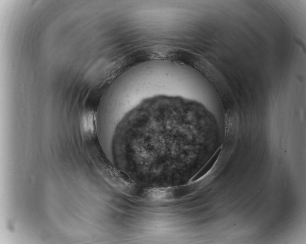 X0000102260094200808011414