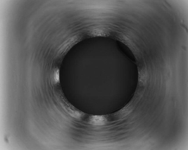 X0000102260095200808011414