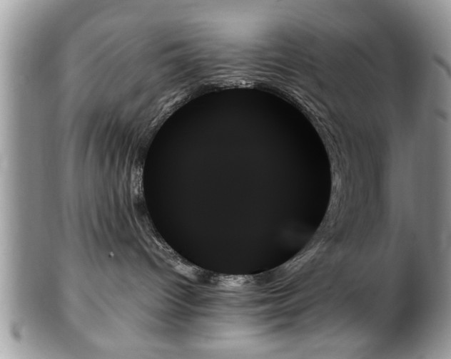 X0000102260096200808011414