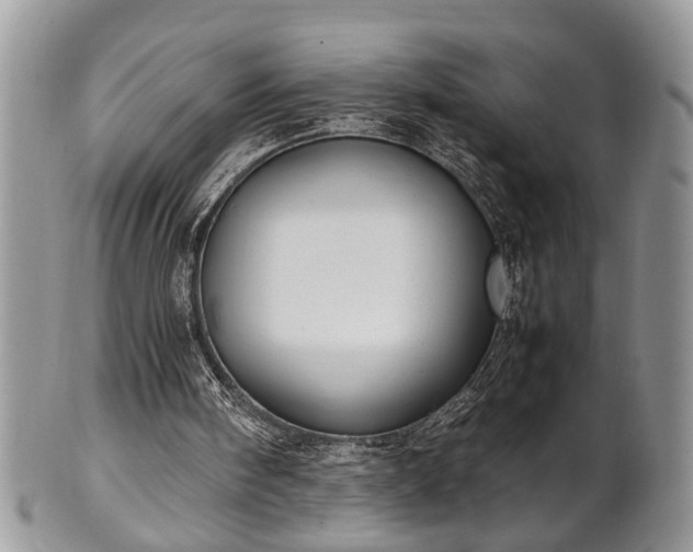 X0000102260098200808011414