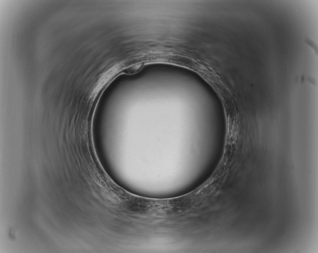 X0000102260099200808011414