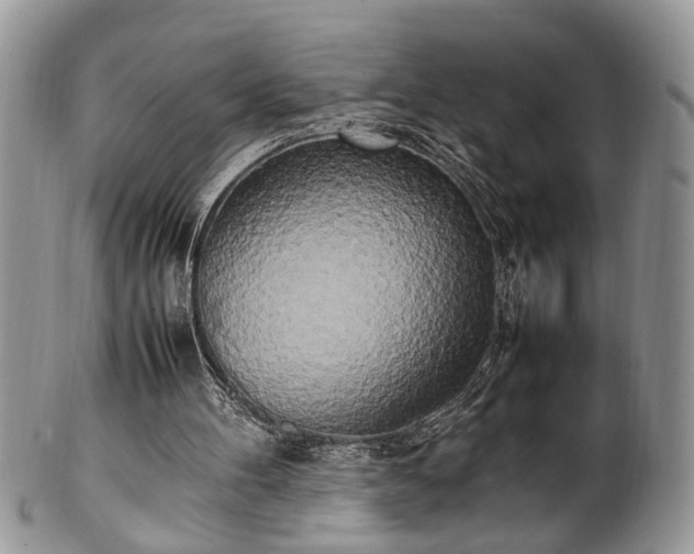 X0000102260100200808011414