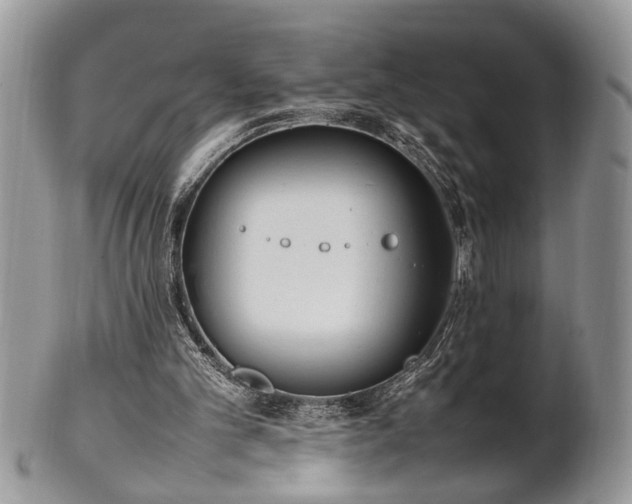 X0000102260101200808011414