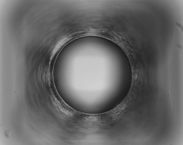 X0000102260102200808011414