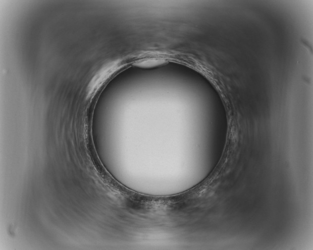 X0000102260103200808011414