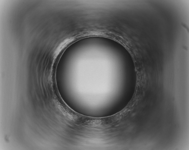 X0000102260104200808011414