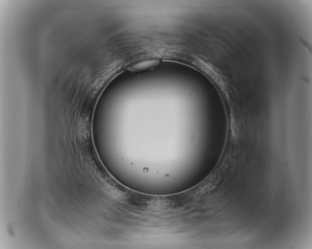 X0000102260105200808011414