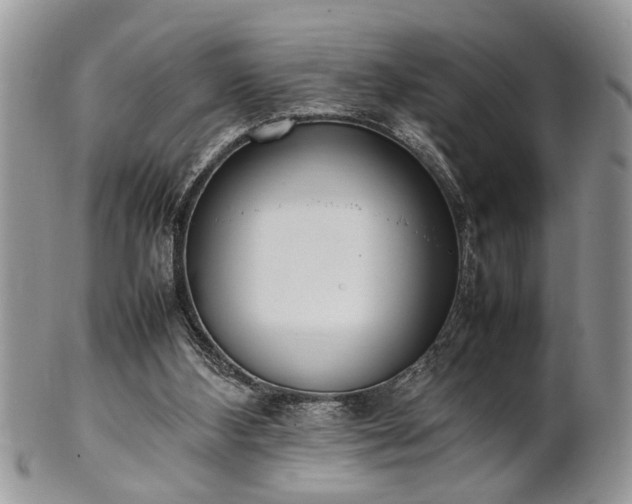 X0000102260108200808011414