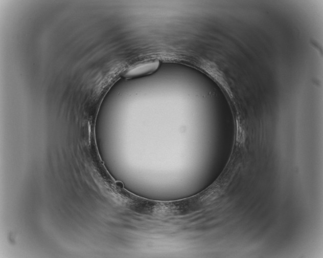 X0000102260109200808011414