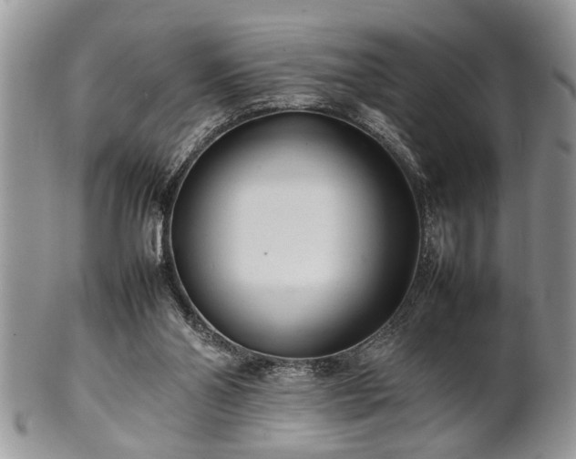 X0000102260110200808011414