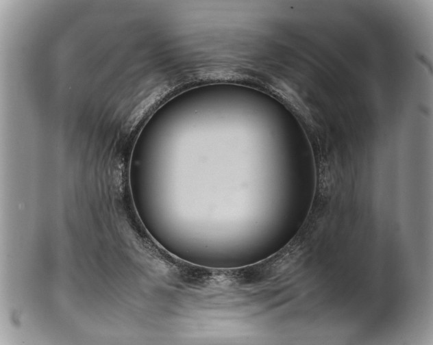 X0000102260111200808011414